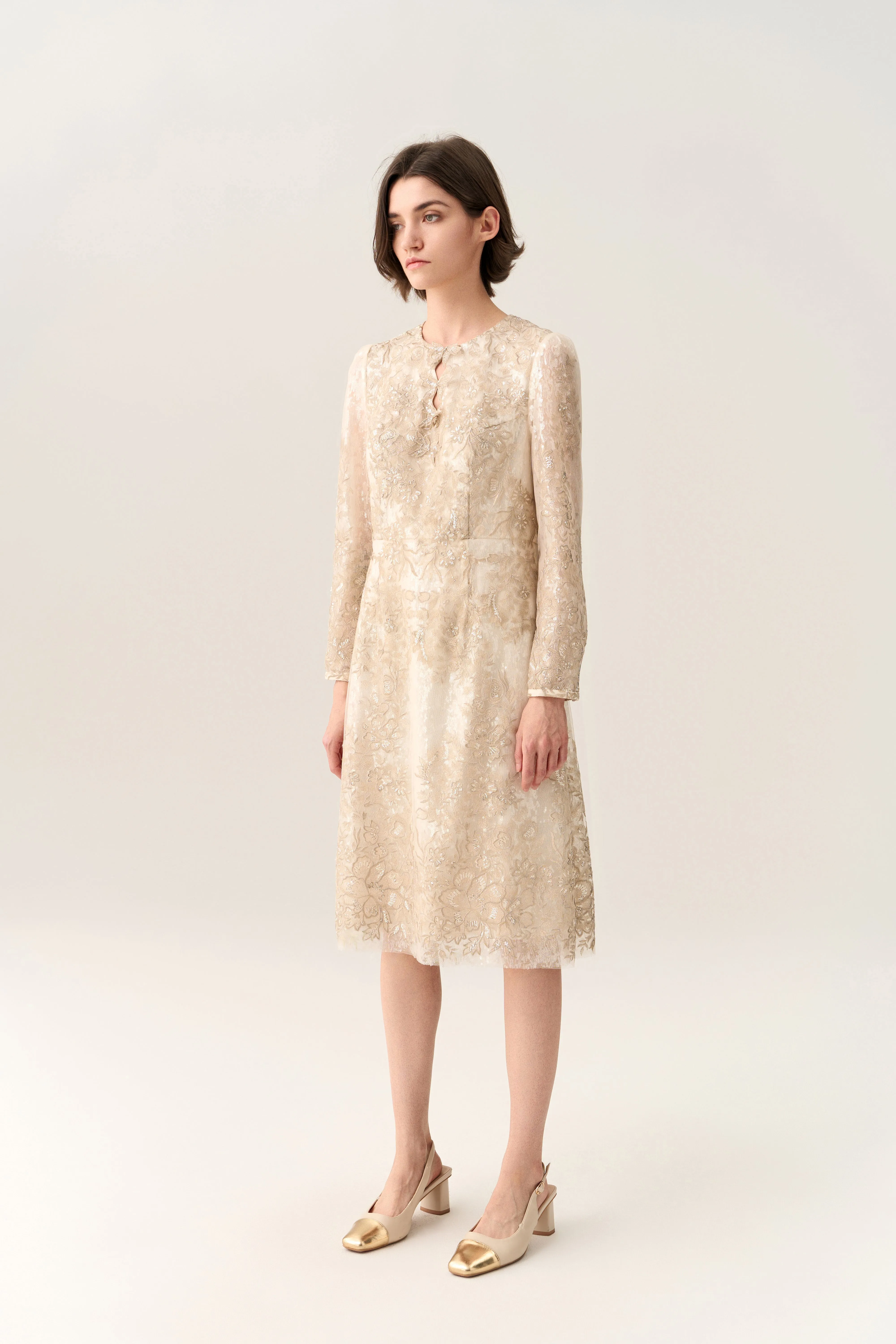 Double Key-hole Lurex Embroidery Mesh Dress