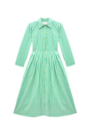Long Sleeve Placket Front Shirtdress-Green Stripe