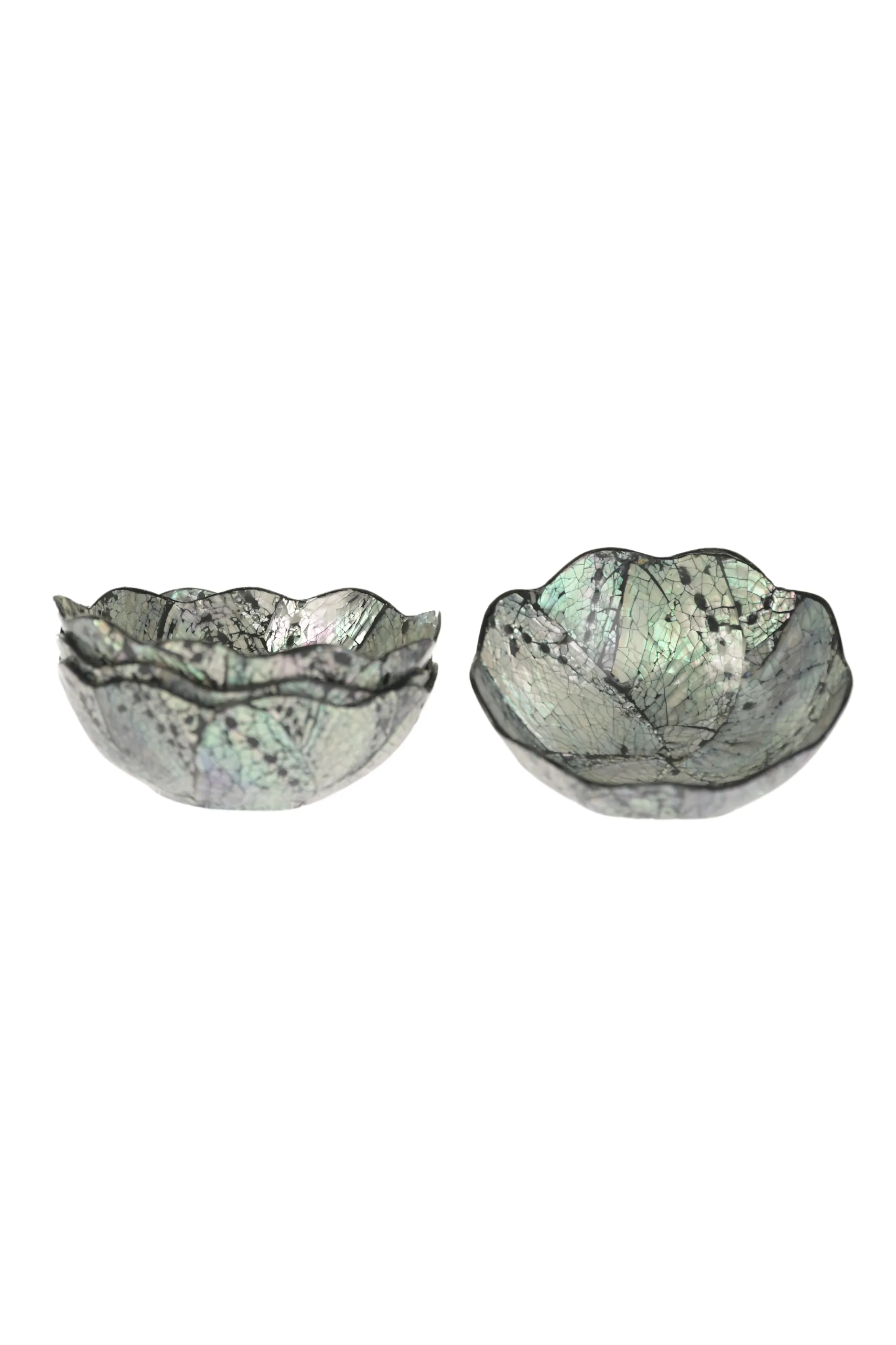 Mini Scalloped Shell Bowls - Set of 4 / Black Shell