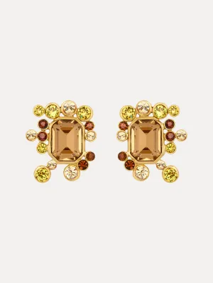 Mixed Crystal Cluster Earrings