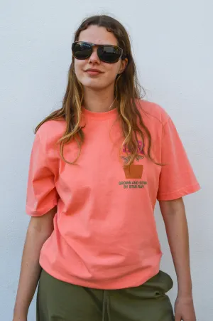 Stan Ray Washed Red Dirt T-Shirt
